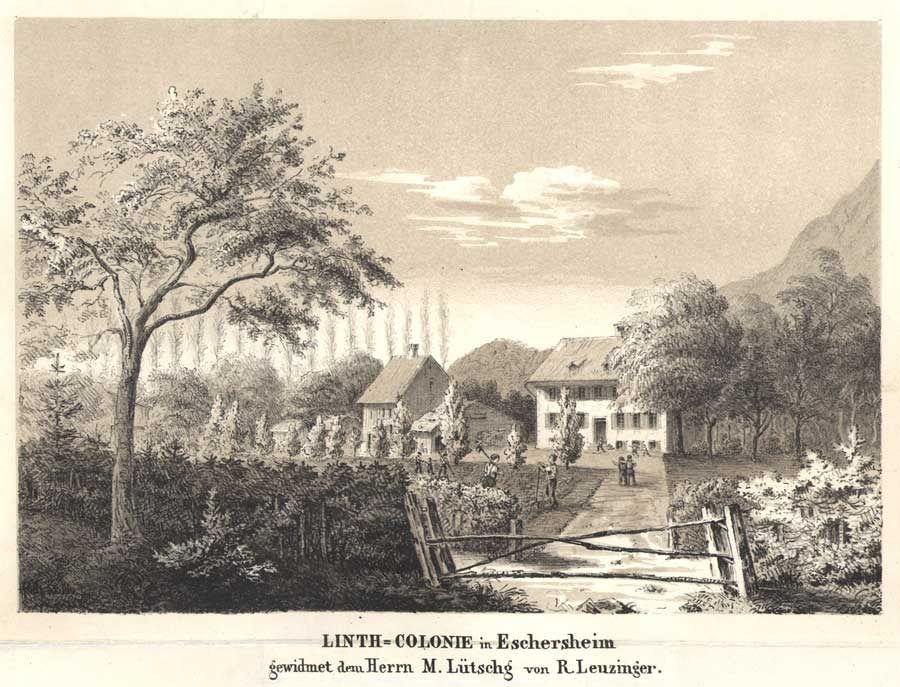 1857 les linthkolonie  lithographie  ruedi leuzinger